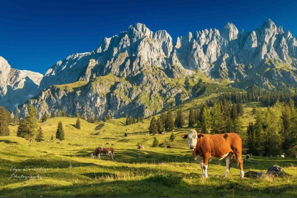Appartamento Hochkoenig Ferien Mühlbach am Hochkönig Esterno foto