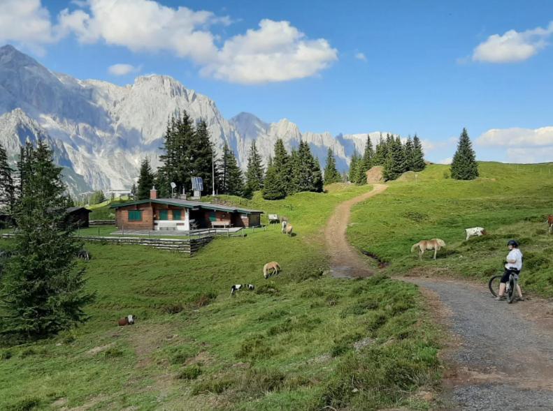 Appartamento Hochkoenig Ferien Mühlbach am Hochkönig Esterno foto